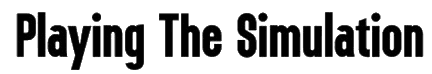 Playing The Simulation